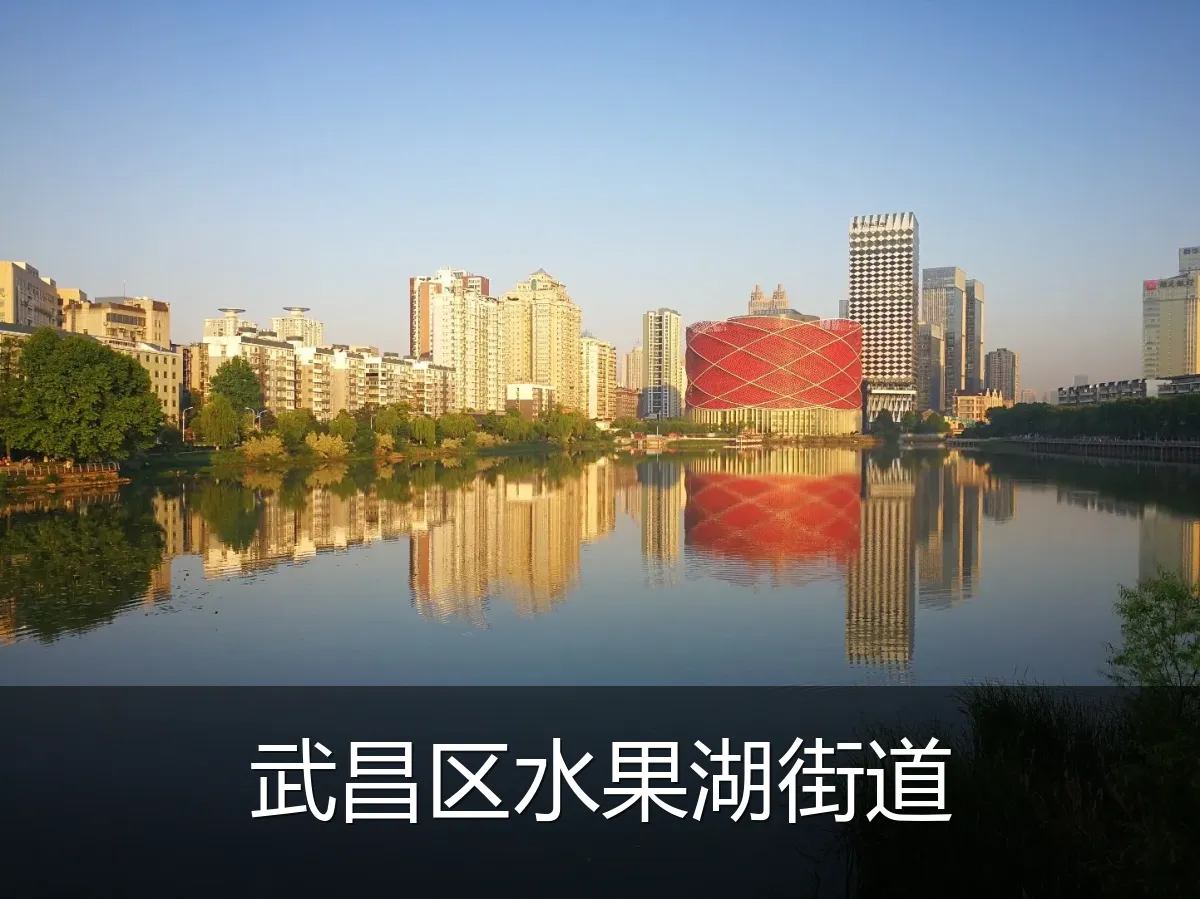 武昌区水果湖街道