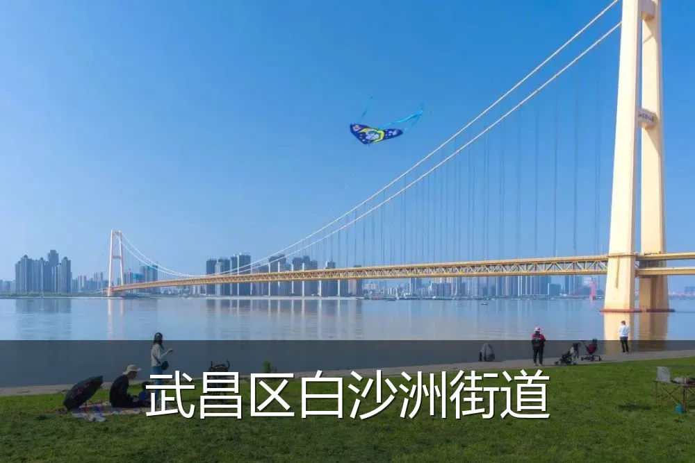 武昌区白沙洲街道