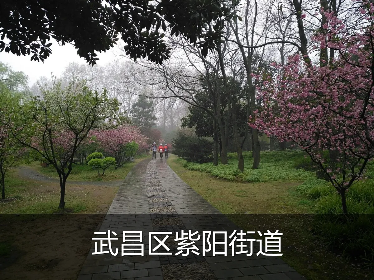 武昌区紫阳街道