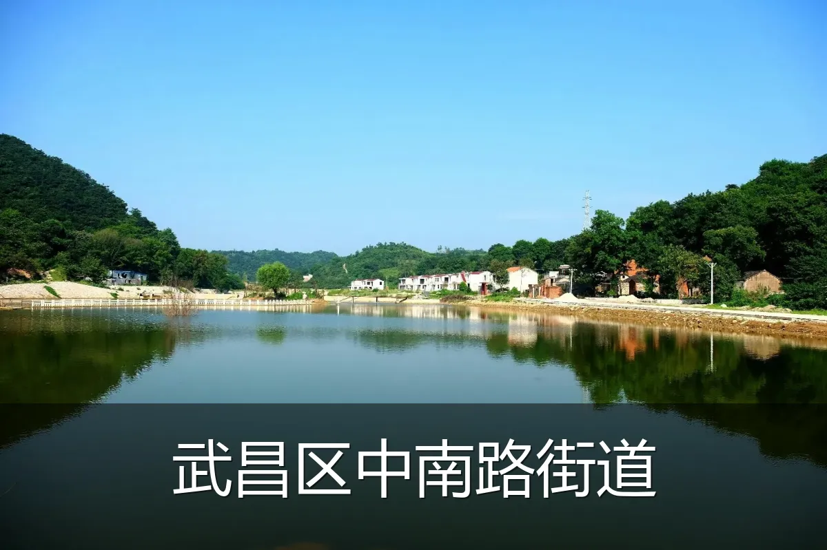 武昌区中南路街道