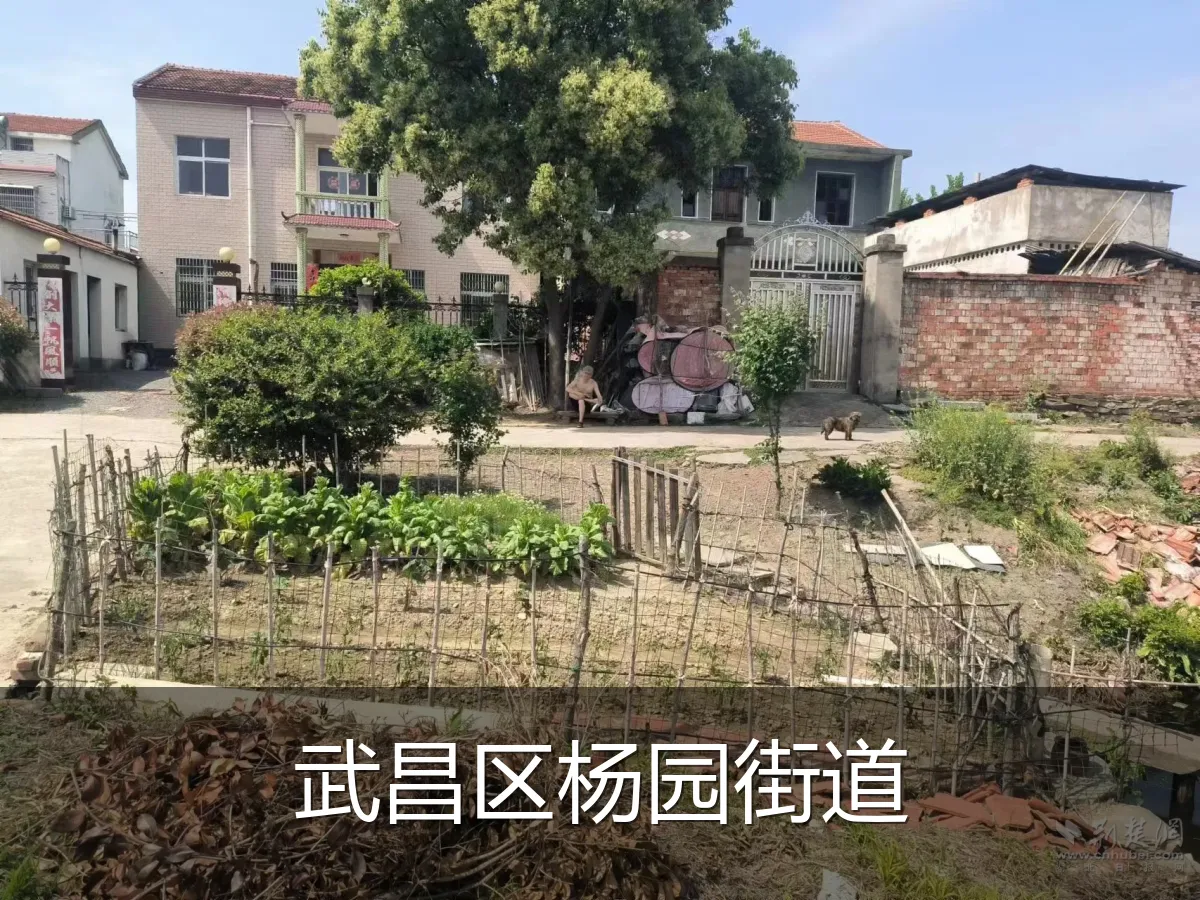 武昌区杨园街道
