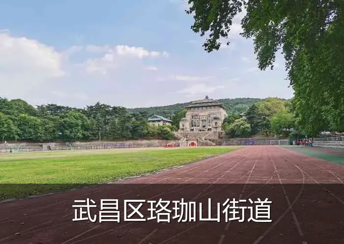 武昌区珞珈山街道